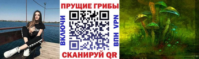 Псилоцибиновые грибы Psilocybine cubensis  как найти закладки  Козельск 